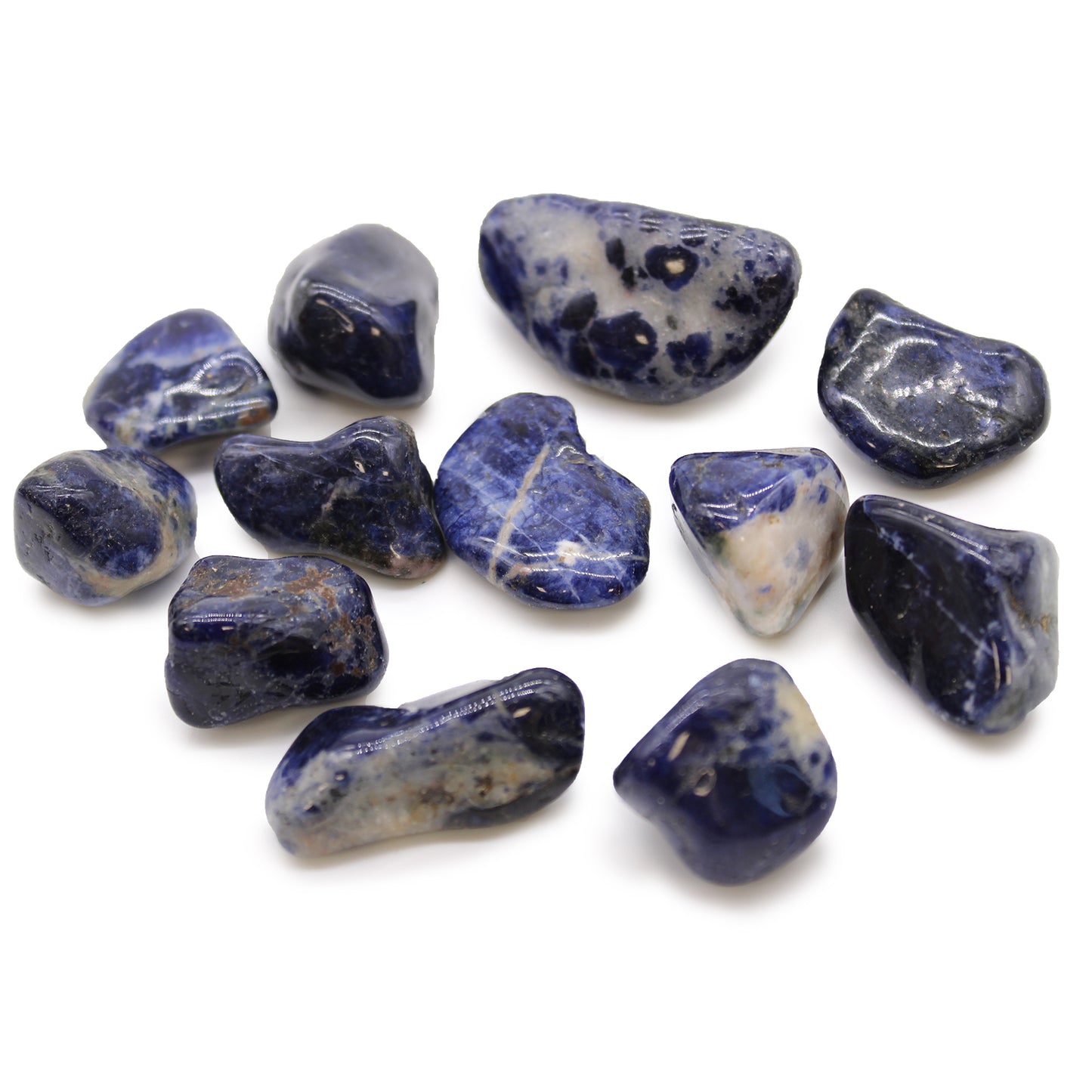 Collection of sodalite stones on a white background