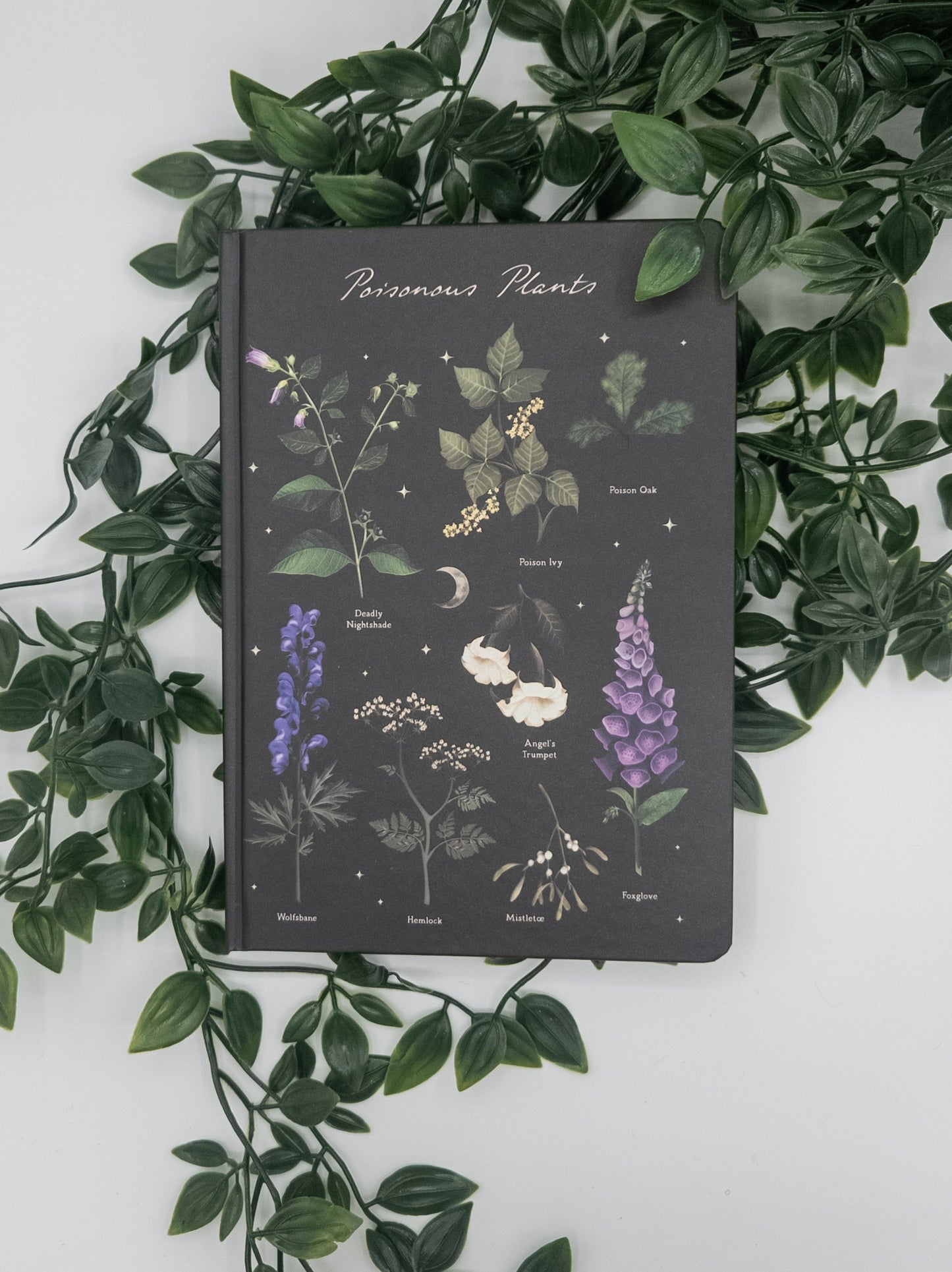 🌿 Reflect with A5 Poisonous Plants Lined Pages Journal