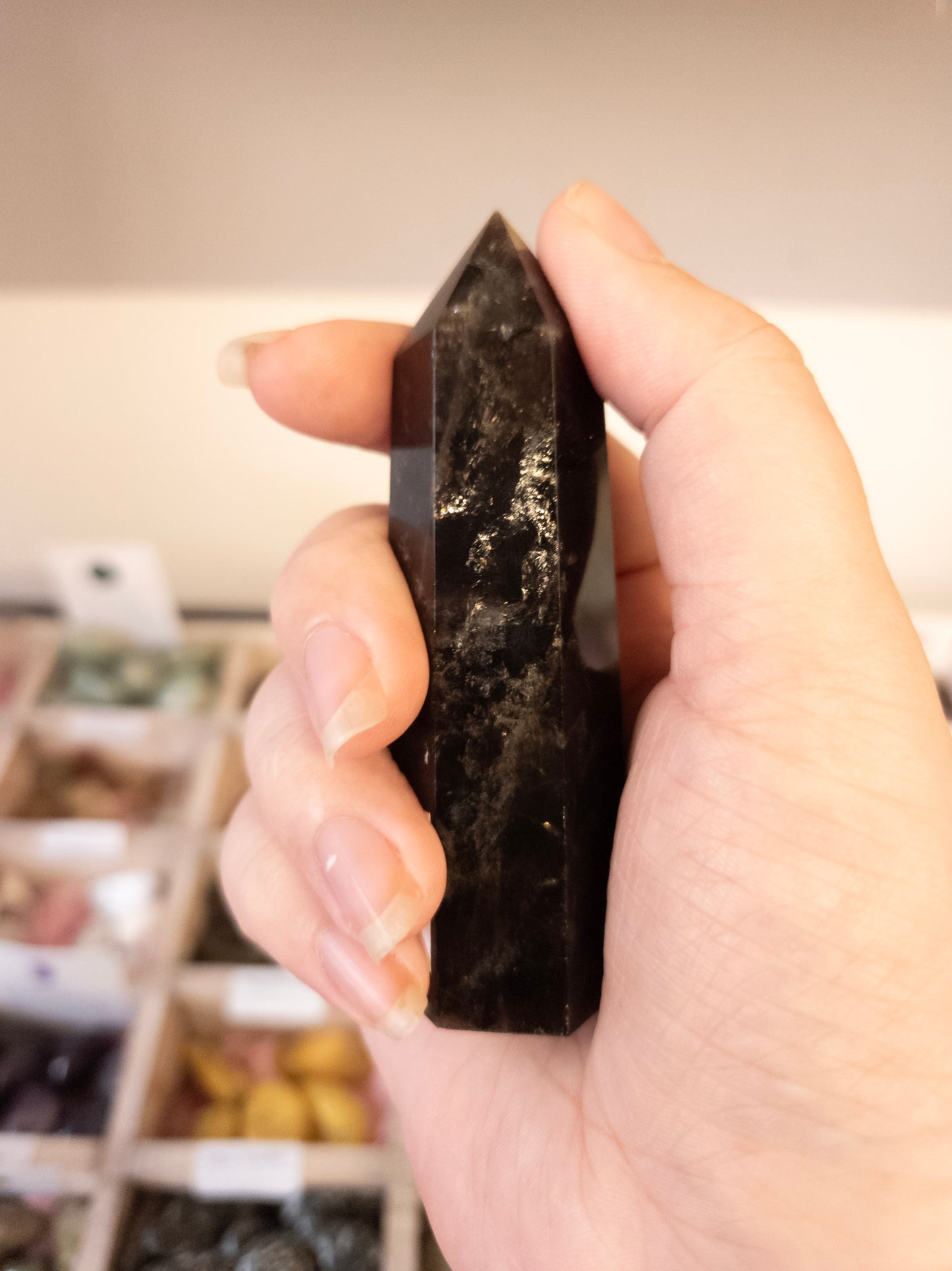 🌑 Protect & Intuit with Black Moonstone Point