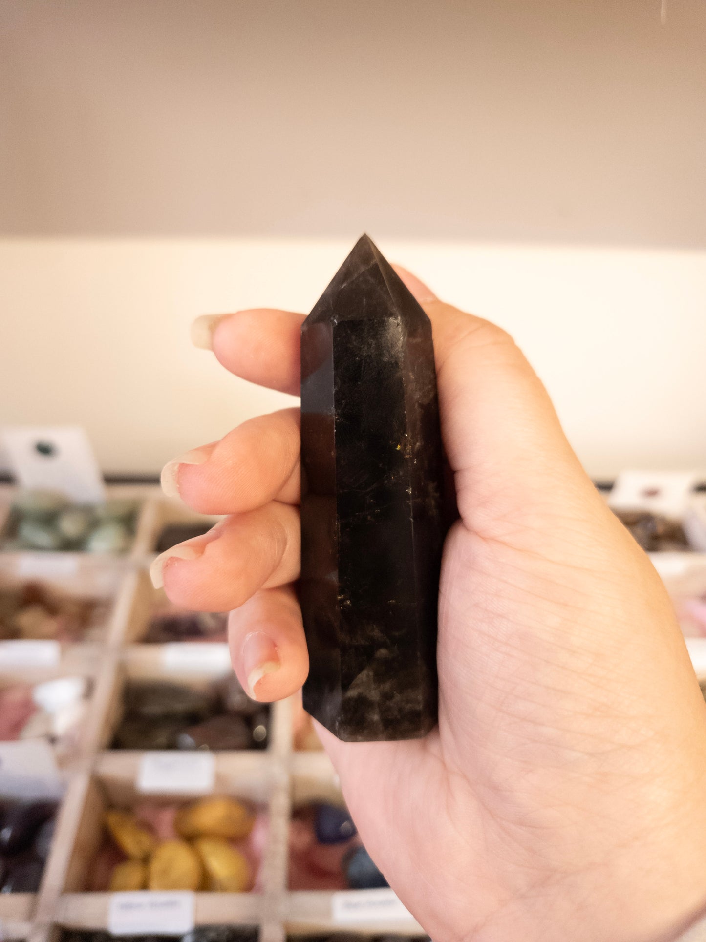 🌑 Protect & Intuit with Black Moonstone Point