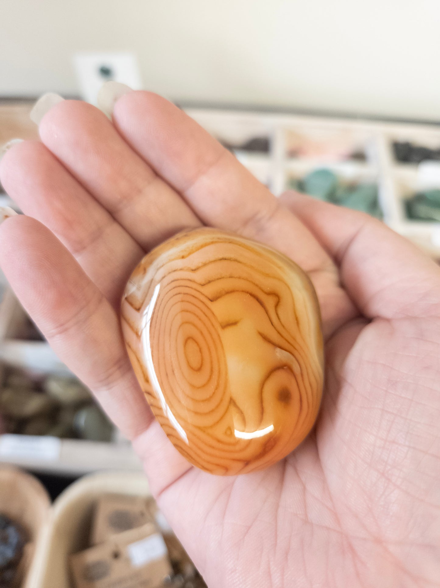 ❤️ Ground & Empower with Red Agate Palmstone