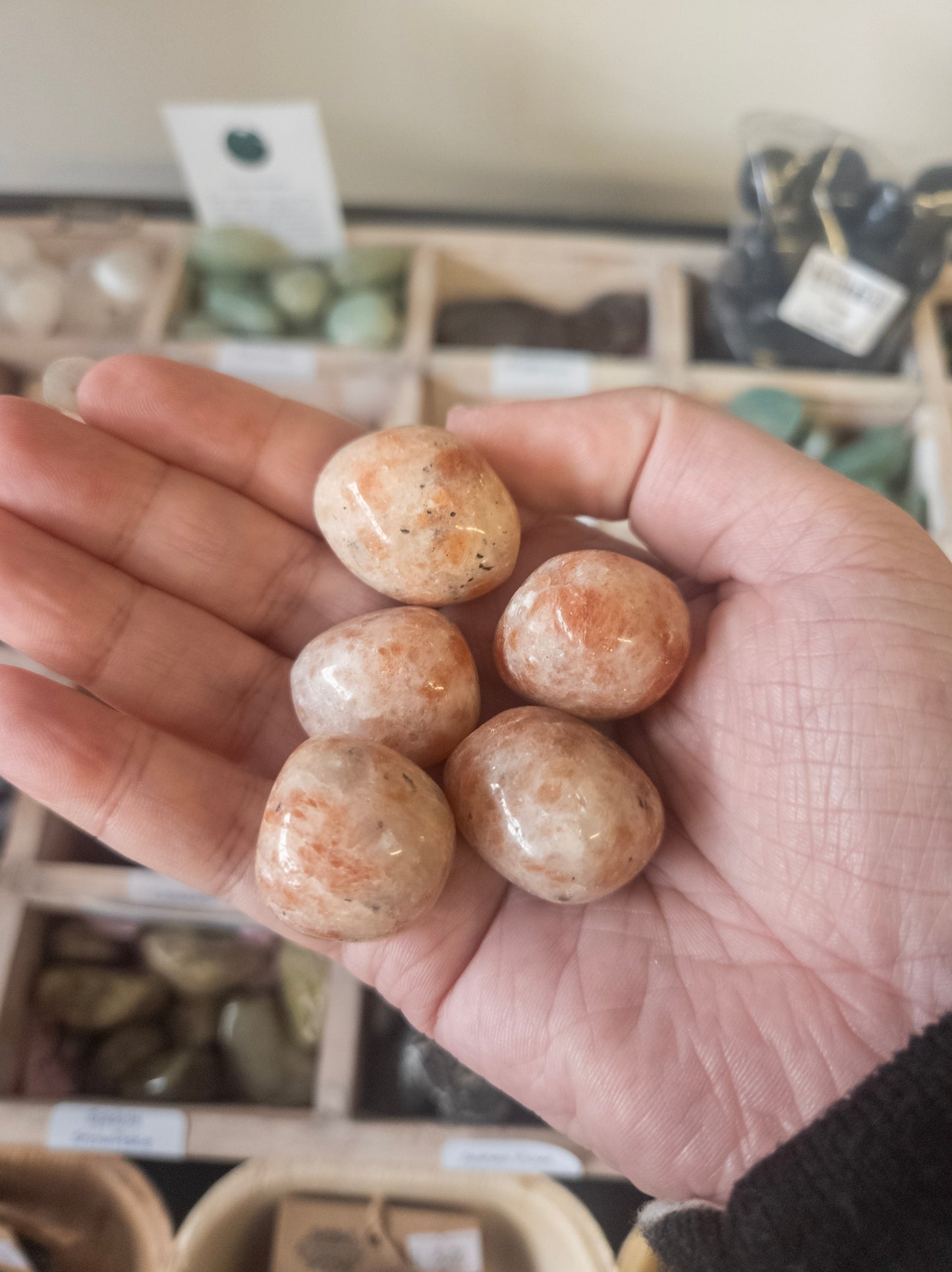 Hand holding four sunstones with a display of more stones in the background