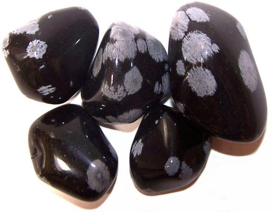 ⚫❄️ Protect & Ground with Snowflake Obsidian Tumbled Stone
