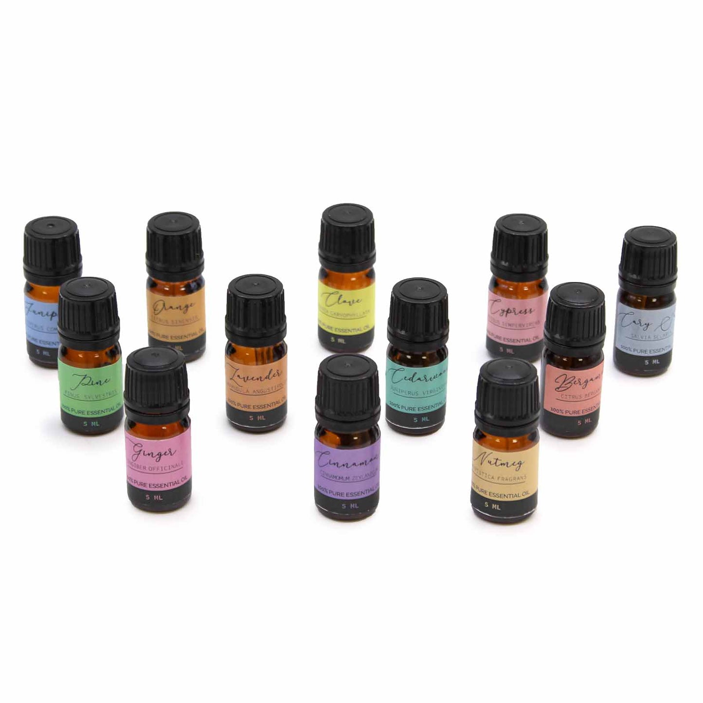 🍂 Autumn Aromatherapy Essential Oil Set