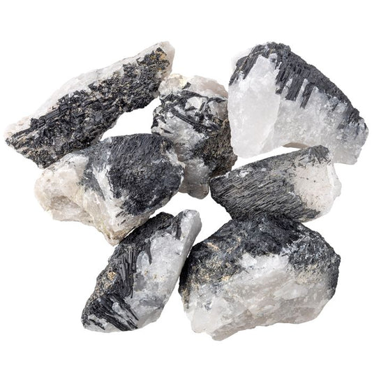 Collection of raw Tourmaline in Quartz crystals on a white background