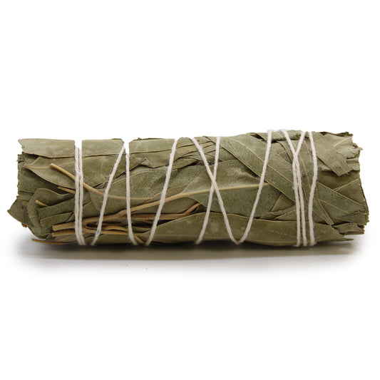 White Sage & Eucalyptus 10cm Smudge Stick
